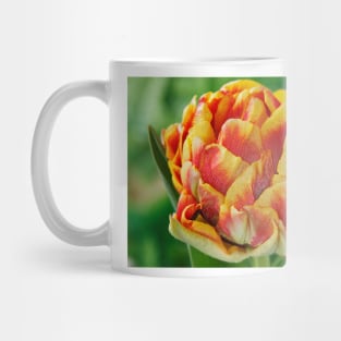 Tulipa  &#39;Cilesta&#39;    Double Early Group  Tulip   Artistic filter applied to photo Mug